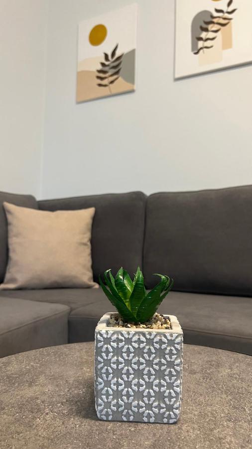 שקודר Sael Apartments מראה חיצוני תמונה